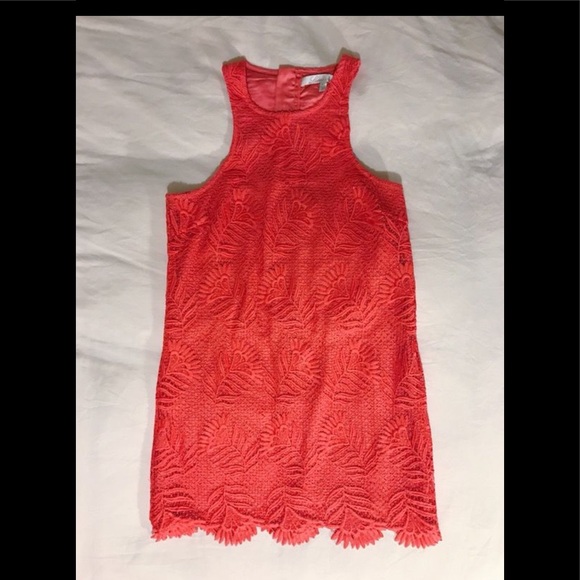 Lovers + friends Caspian Shift dress, coral color - Picture 8 of 8